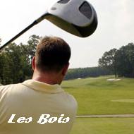 D�couvrez les bois sur Golf Passion
