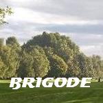Golf de Brigode