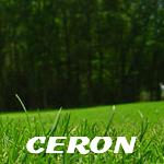 Golf de C�ron