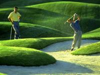 Fond ecran golf 8 sur Golf Passion