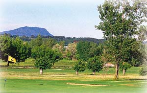 Aix-Marseille, golf du mois de Janvier/F�vrier 2010