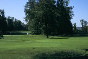 D�couvrez le Golf du Ch�teau d'Avoise
