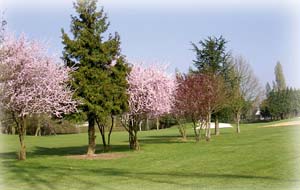 D�couvrez le Golf de Gif-Chevry