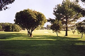 D�couvrez le Golf de Saint-Thomas