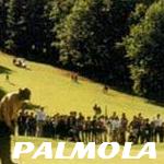 Golf de Palmola
