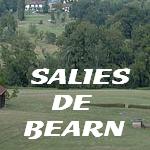 Golf de Salies de Bearn