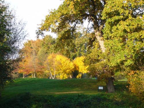 Photo du Golf de Cesson Sévigné