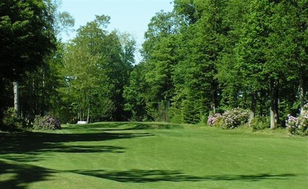 Photo du Golf de la Freslonnière