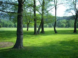 Photo du Golf de la ligne bleue des Vosges