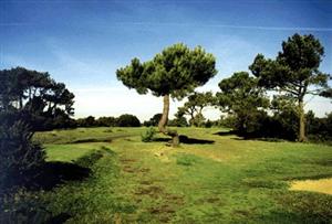 Photo du Golf de Saint Samson