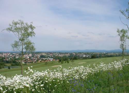 Photo du Golf du Pays de Sarrebourg