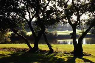 Photo du Golf de Savenay