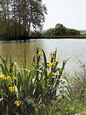 Photo du Golf des Sept Fontaines